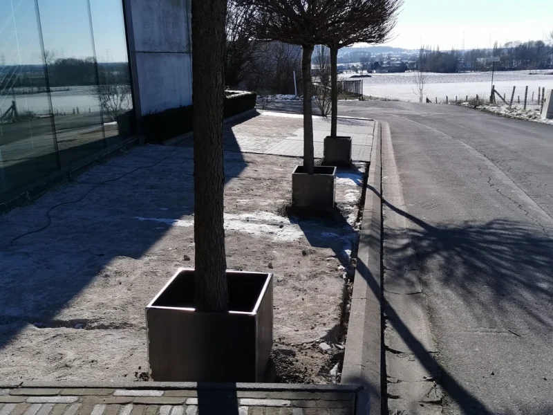 Vierkante plantenbakken in cortenstaal met bomen langs een bedrijfsgebouw